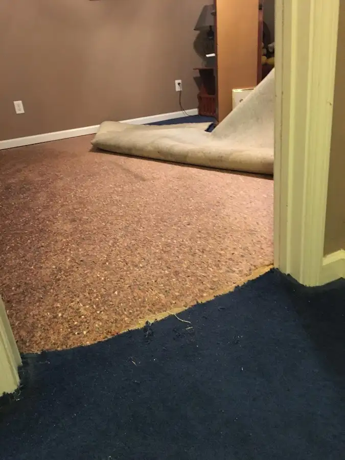 Carpet pad removal revealing water damage during Water Mitigation Services in Round Lake Beach