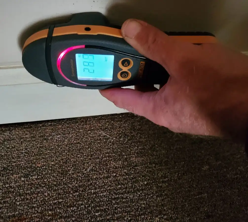 Moisture detection at baseboard during Sewage Cleanup & Sanitation in Round Lake Beach